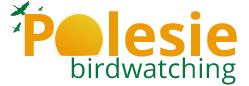 bottomsld-logo-polesie-birdwatching-11